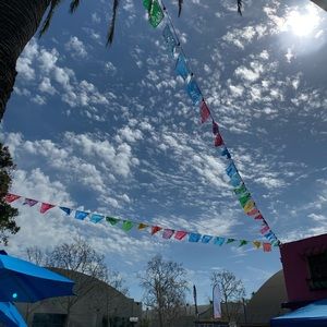 Meet your Posher, Amelia